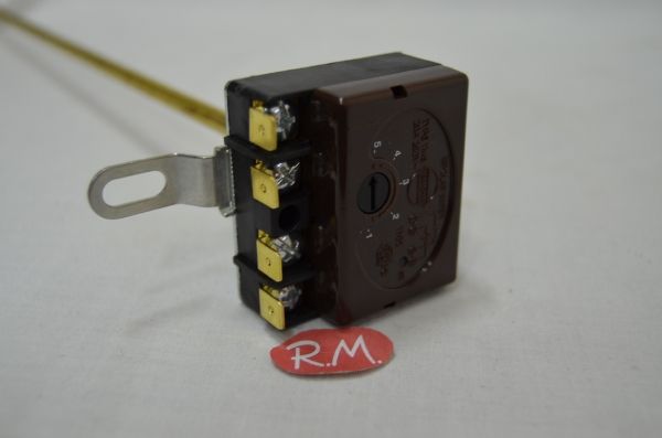Termostato termo eléctrico varilla