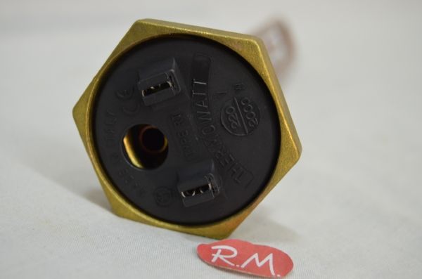 Resistencia blindada termo eléctrico