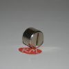 Tapón centro planchado Rowenta DG9040 CS-00094114