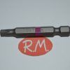 Punta atornillar Torx T25 x 50 mm