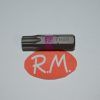 Punta atornillar Torx T40 x 25 mm
