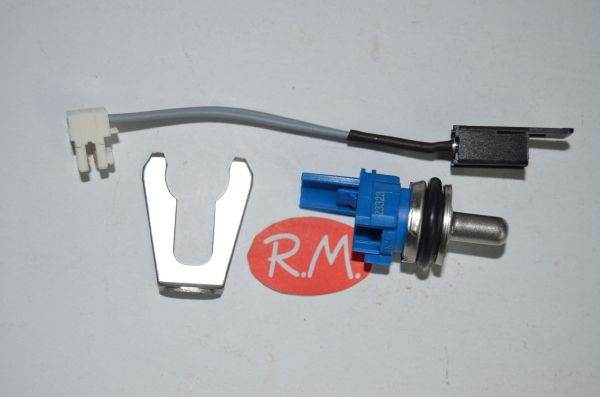 Sonda NTC caldera Chaffotaeux 65104338-01