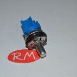 Sonda NTC caldera Chaffotaeux 65104338-01