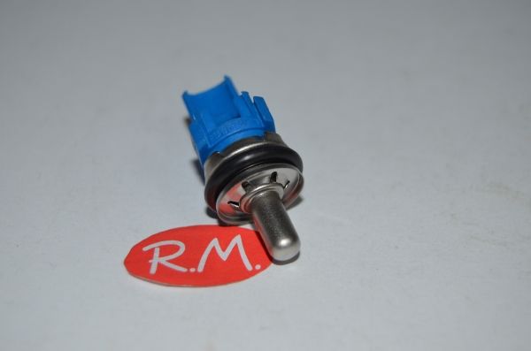 Sonda NTC caldera Chaffotaeux 65104338-01
