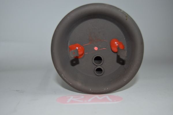 Resistencia termo eléctrico agua Cointra T4620455H